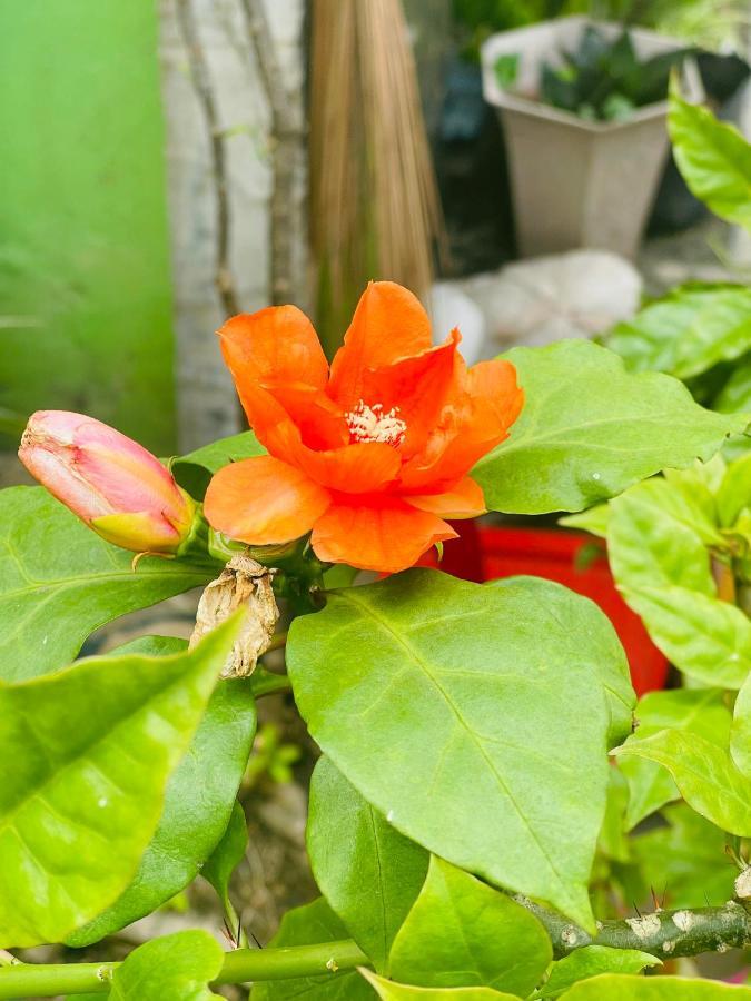 Motel Tuan Phuong Da Nang Bagian luar foto